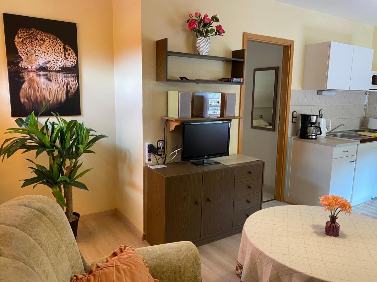 Birkenstuebchen Apartment Lautenthal Ngoại thất bức ảnh