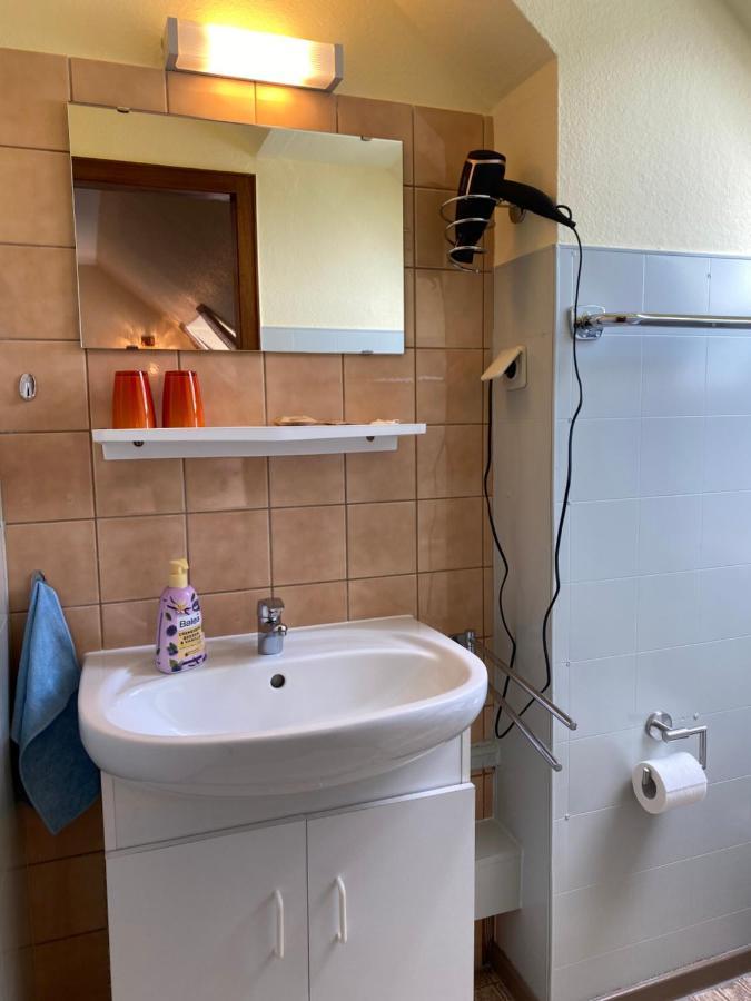 Birkenstuebchen Apartment Lautenthal Ngoại thất bức ảnh